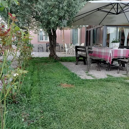 La Rosa Nel *